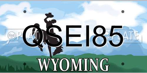 QSEI85 Wyoming License Plate