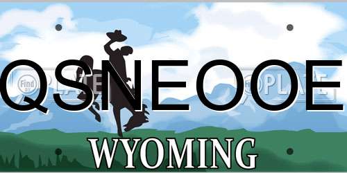 QSNEOOE Wyoming License Plate