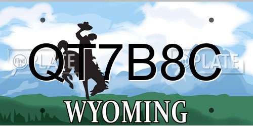 QT7B8C Wyoming License Plate