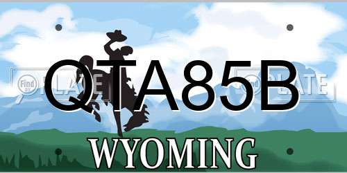 QTA85B Wyoming License Plate