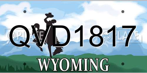 QVD1817 Wyoming License Plate