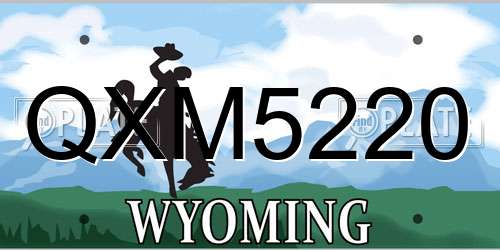 QXM5220 Wyoming License Plate