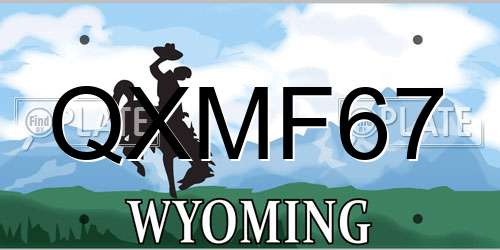 QXMF67 Wyoming License Plate