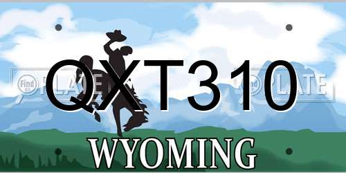 QXT310 Wyoming License Plate
