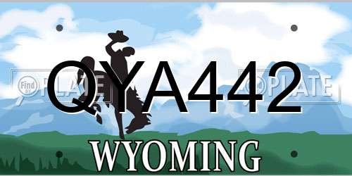 QYA442 Wyoming License Plate