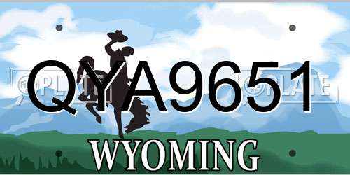 QYA9651 Wyoming License Plate