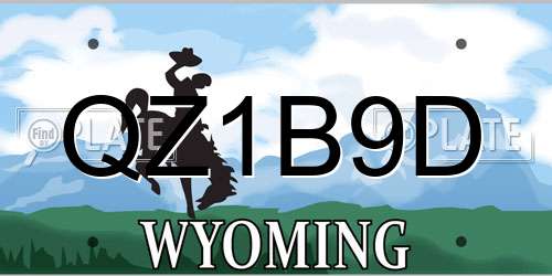 QZ1B9D Wyoming License Plate