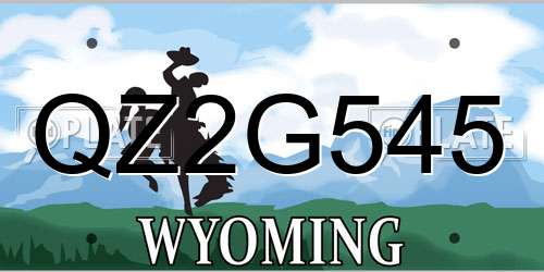 QZ2G545 Wyoming License Plate