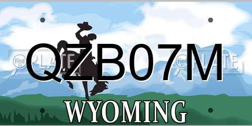 QZB07M Wyoming License Plate