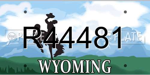 R44481 Wyoming License Plate