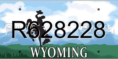 R628228 Wyoming License Plate