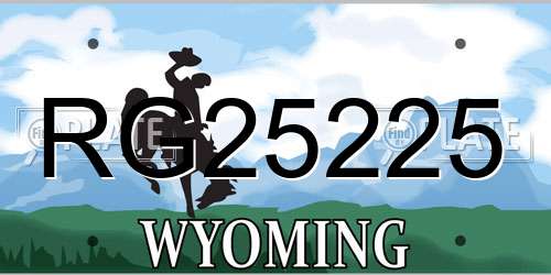 RG25225 Wyoming License Plate