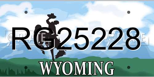 RG25228 Wyoming License Plate