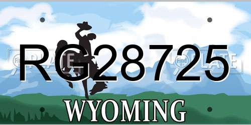 RG28725 Wyoming License Plate