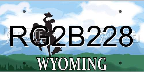 RG2B228 Wyoming License Plate