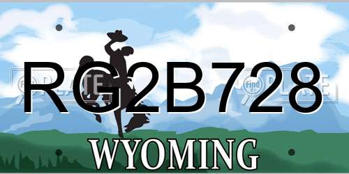 RG2B728 Wyoming License Plate