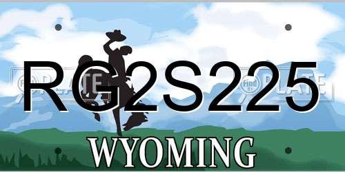 RG2S225 Wyoming License Plate