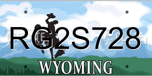 RG2S728 Wyoming License Plate