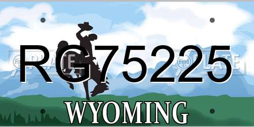 RG75225 Wyoming License Plate