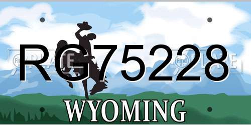 RG75228 Wyoming License Plate