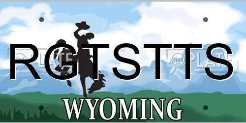 RGTSTTS Wyoming License Plate