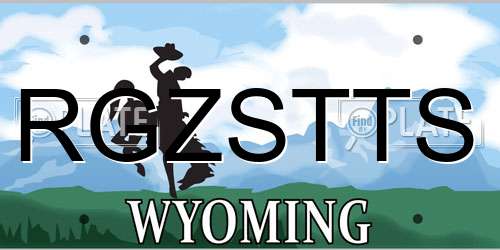 RGZSTTS Wyoming License Plate