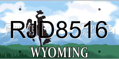 RJD8516 Wyoming License Plate