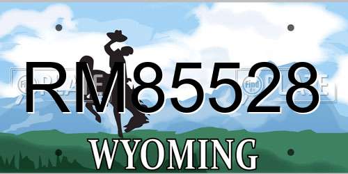 RM85528 Wyoming License Plate