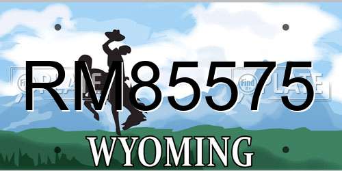 RM85575 Wyoming License Plate