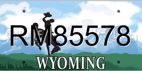 RM85578 Wyoming License Plate
