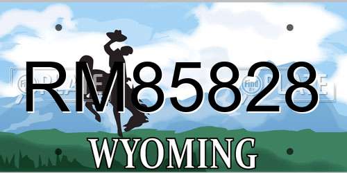 RM85828 Wyoming License Plate