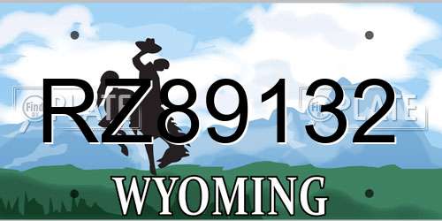 RZ89132 Wyoming License Plate