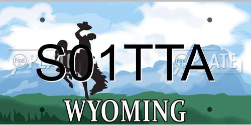 S01TTA Wyoming License Plate