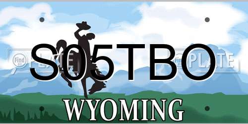 S05TBO Wyoming License Plate