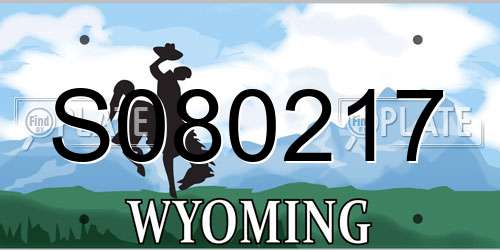 S080217 Wyoming License Plate