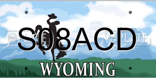 S08ACD Wyoming License Plate