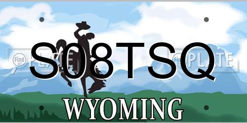 S08TSQ Wyoming License Plate