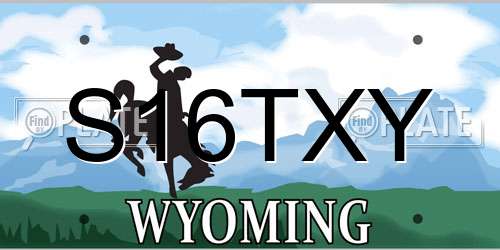 S16TXY Wyoming License Plate