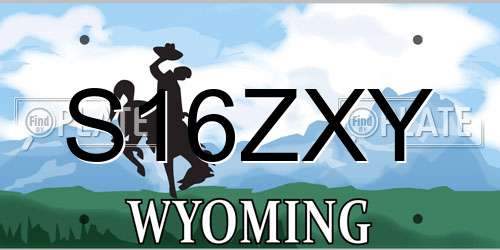 S16ZXY Wyoming License Plate