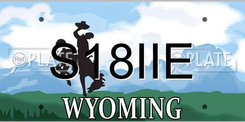 S18IIE Wyoming License Plate