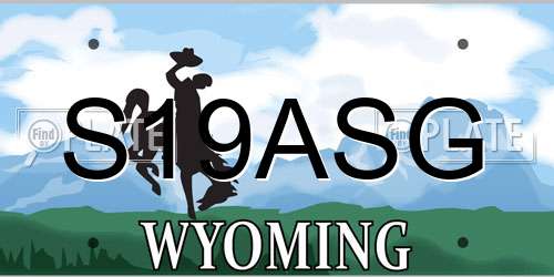 S19ASG Wyoming License Plate