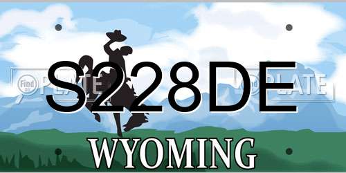 S228DE Wyoming License Plate
