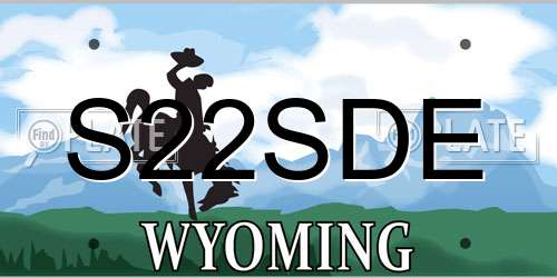 S22SDE Wyoming License Plate