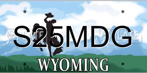S25MDG Wyoming License Plate