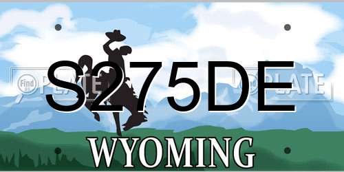 S275DE Wyoming License Plate