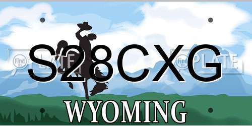 S28CXG Wyoming License Plate