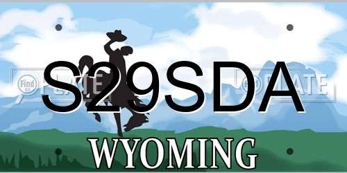S29SDA Wyoming License Plate