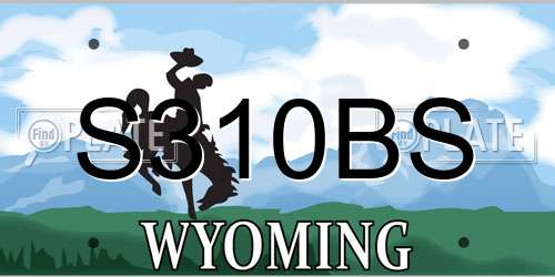 S310BS Wyoming License Plate