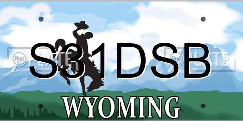 S31DSB Wyoming License Plate