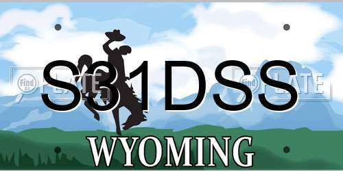 S31DSS Wyoming License Plate